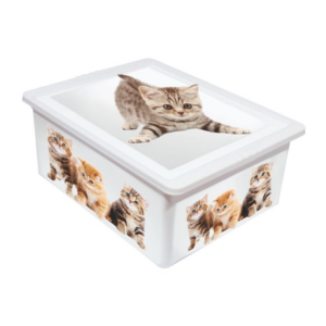 Caja Organizadora